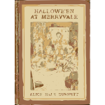 Halloween at Merryvale  book cover vector image